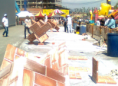 /album/fotogaleria-proyectos/concurs-png/